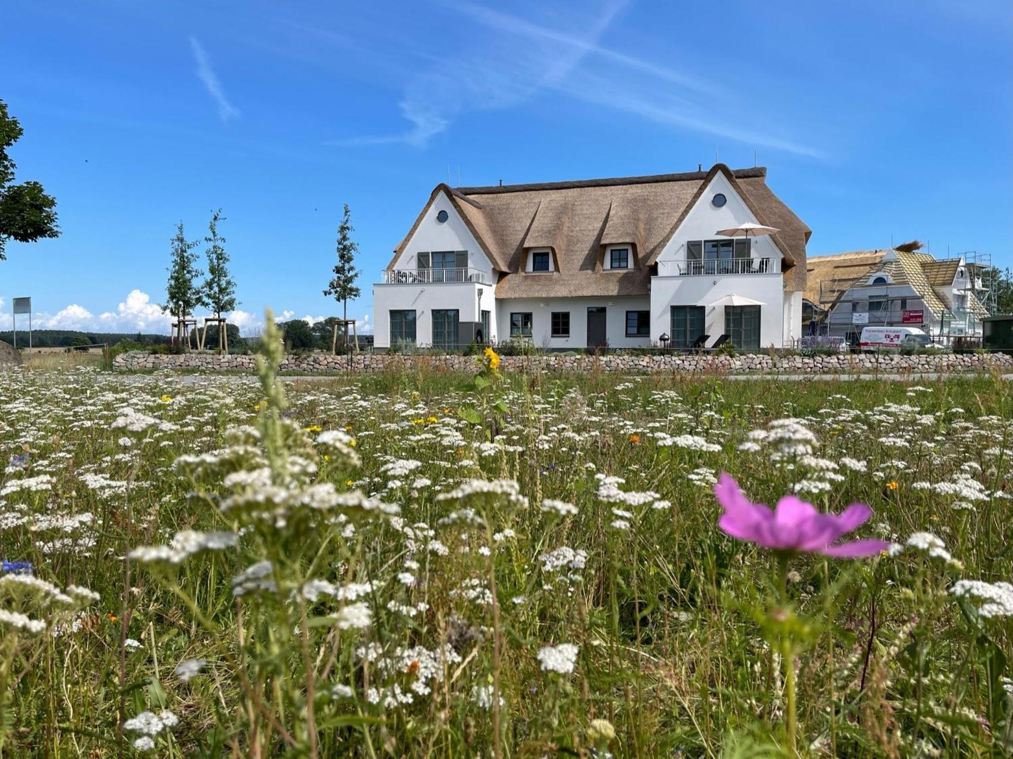 스톨페 Inseldomizil Stolpe - Urlaub Unter Reet Auf Usedom 빌라 외부 사진